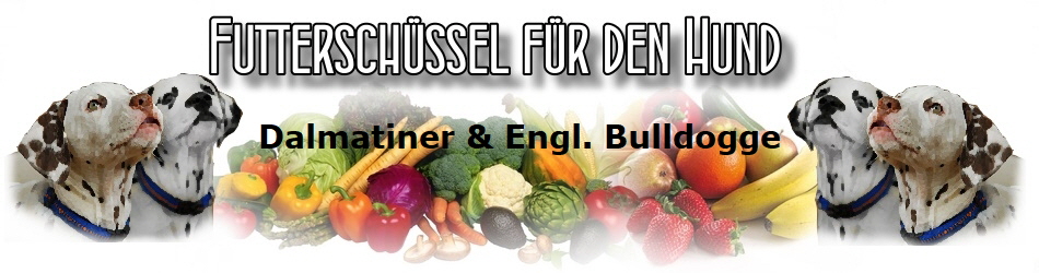 Dalmatiner & Engl. Bulldogge