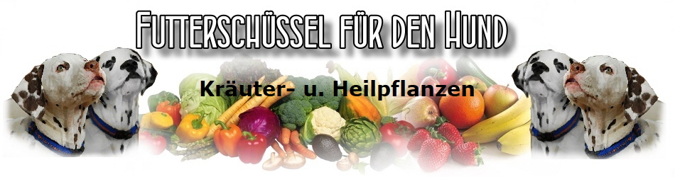 Kruter- u. Heilpflanzen